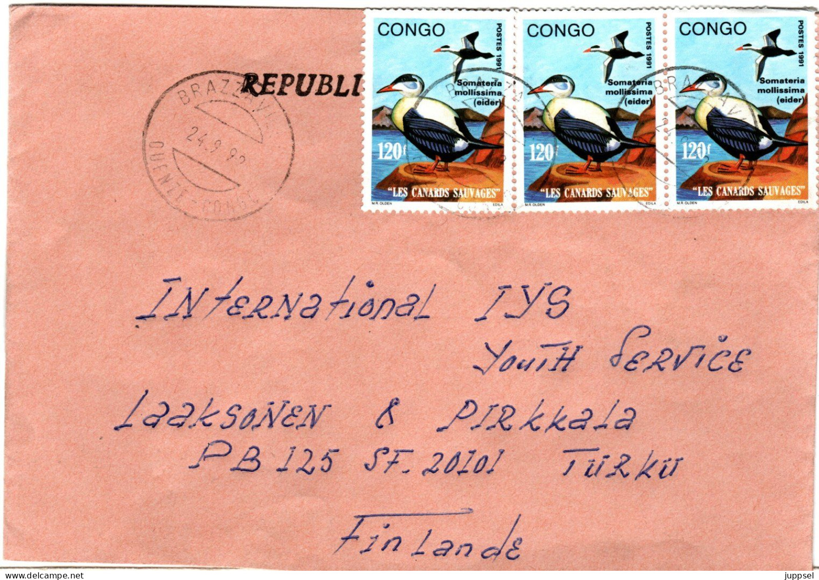 CONGO, Eider Duck  /    Canards Sauvages, L`eider - Eenden