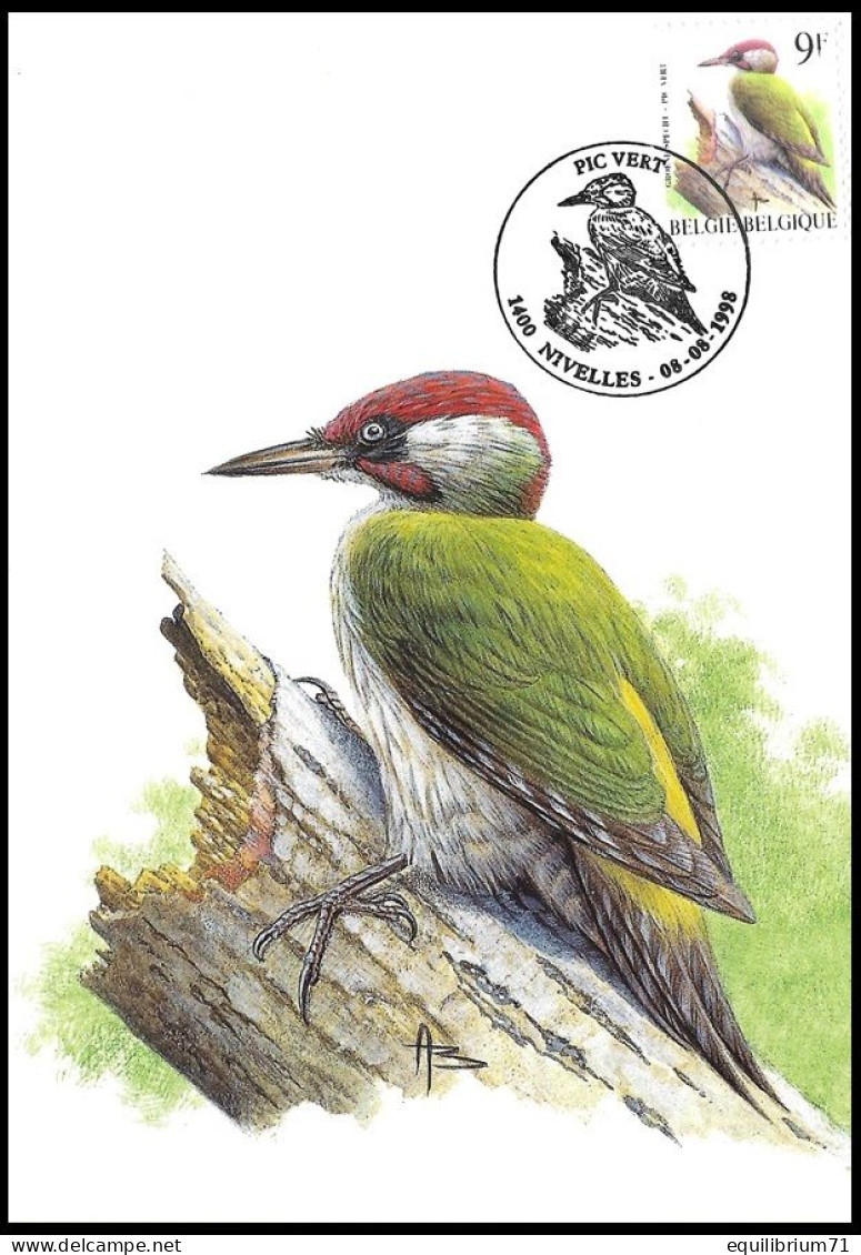 CM/MK° - 2778 - Pic Vert / Groene Specht / Specht / Woodpecker / Picus Viridis - Nivelles - 08-08-1998 - BUZIN - Climbing Birds