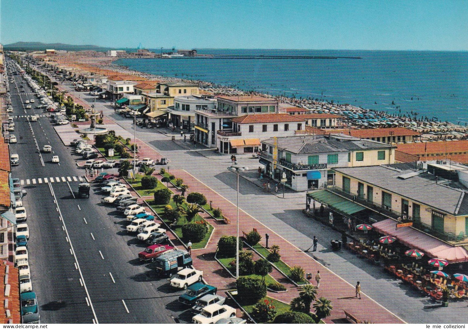 Cartolina Viareggio - Viali E Lungomare - Viareggio