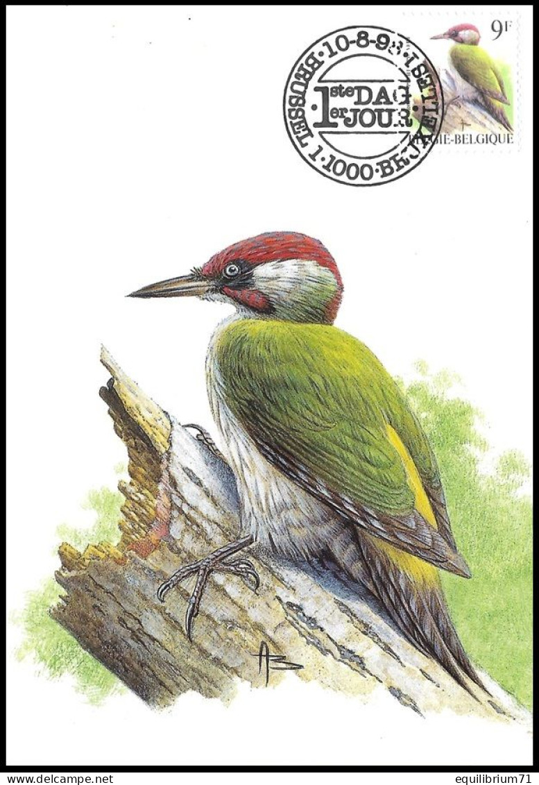 CM/MK° - Pic Vert / Groene Specht / Specht / Woodpecker / Picus Viridis - BSL-BXL - 10-08-1998 - BUZIN - Climbing Birds