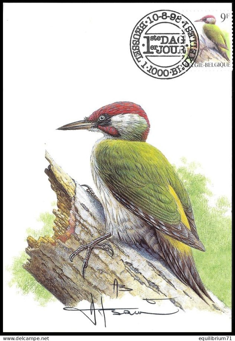 CM/MK° - 2778 - Pic Vert/Groene Specht/Specht/Woodpecker/Picus Viridis - BSL-BXL - 10-08-1998 - BUZIN - SIGNÉ/GETEKEND - Piciformes (pájaros Carpinteros)