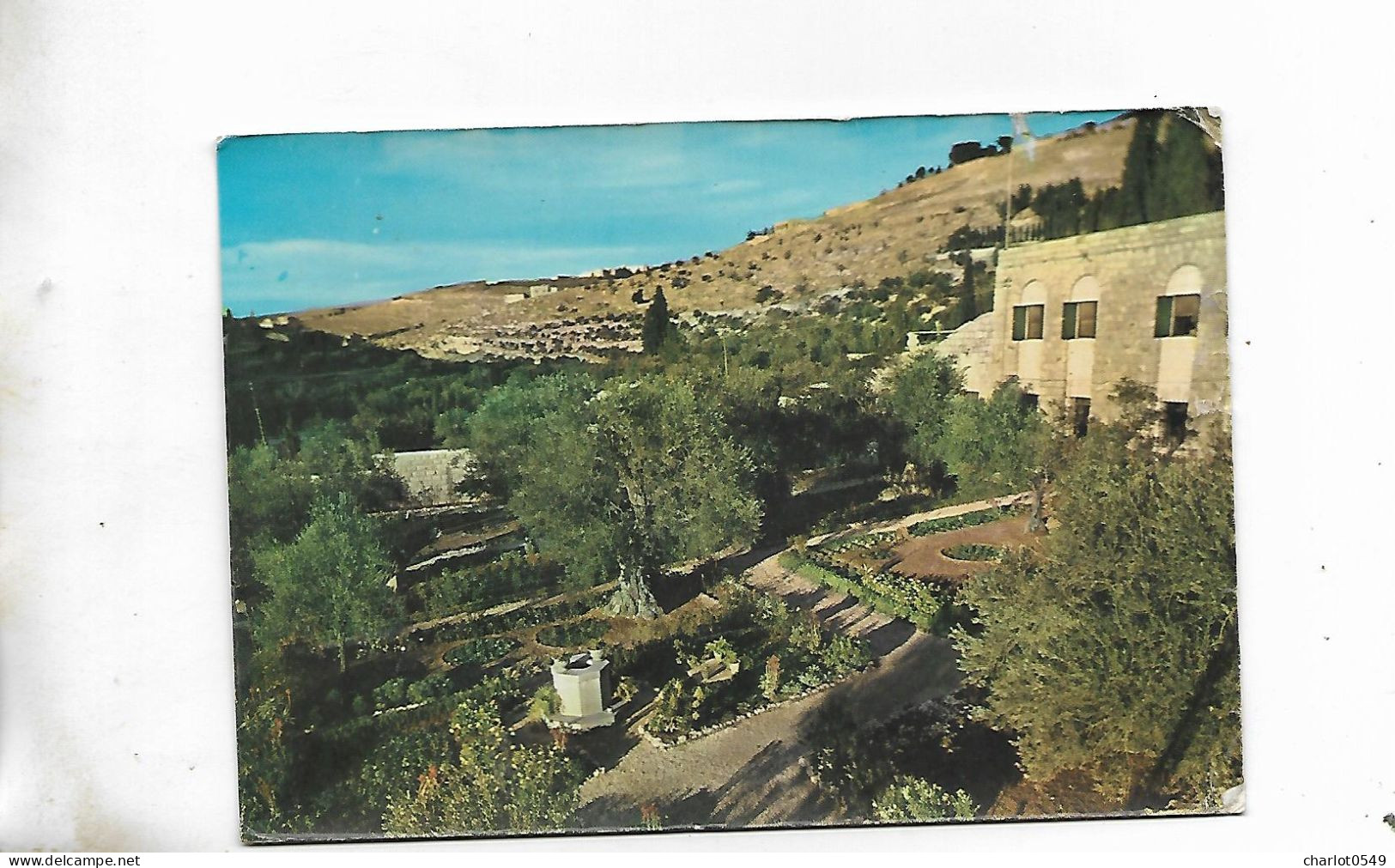 Garden Of Gethsemani Jerusalem - Jordan