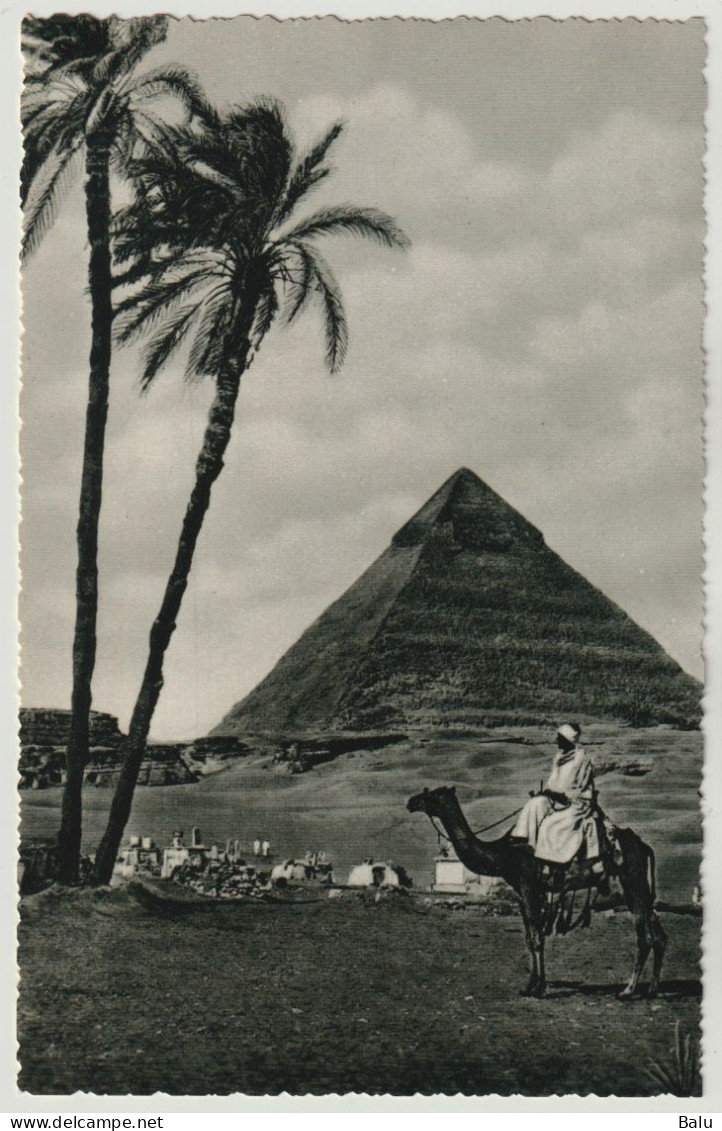 AK Sw Ägypten The Chefren Pyramid, Pyramide, Ca. 1958, 13,6 X 8,9 Cm, 2 Scans - Piramiden