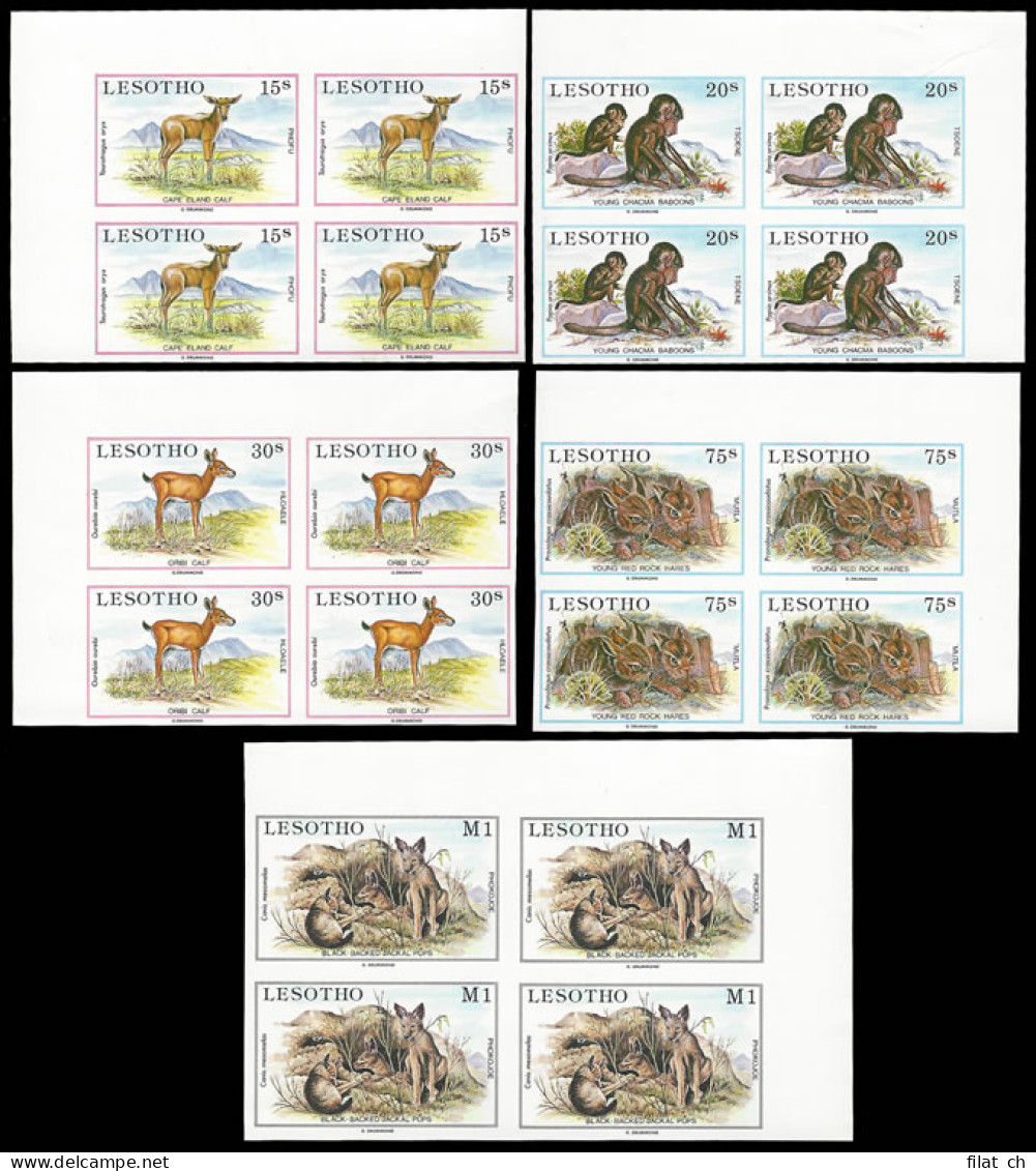 Lesotho 1984 Baby Animals Full Set Proof Blocks - Other & Unclassified