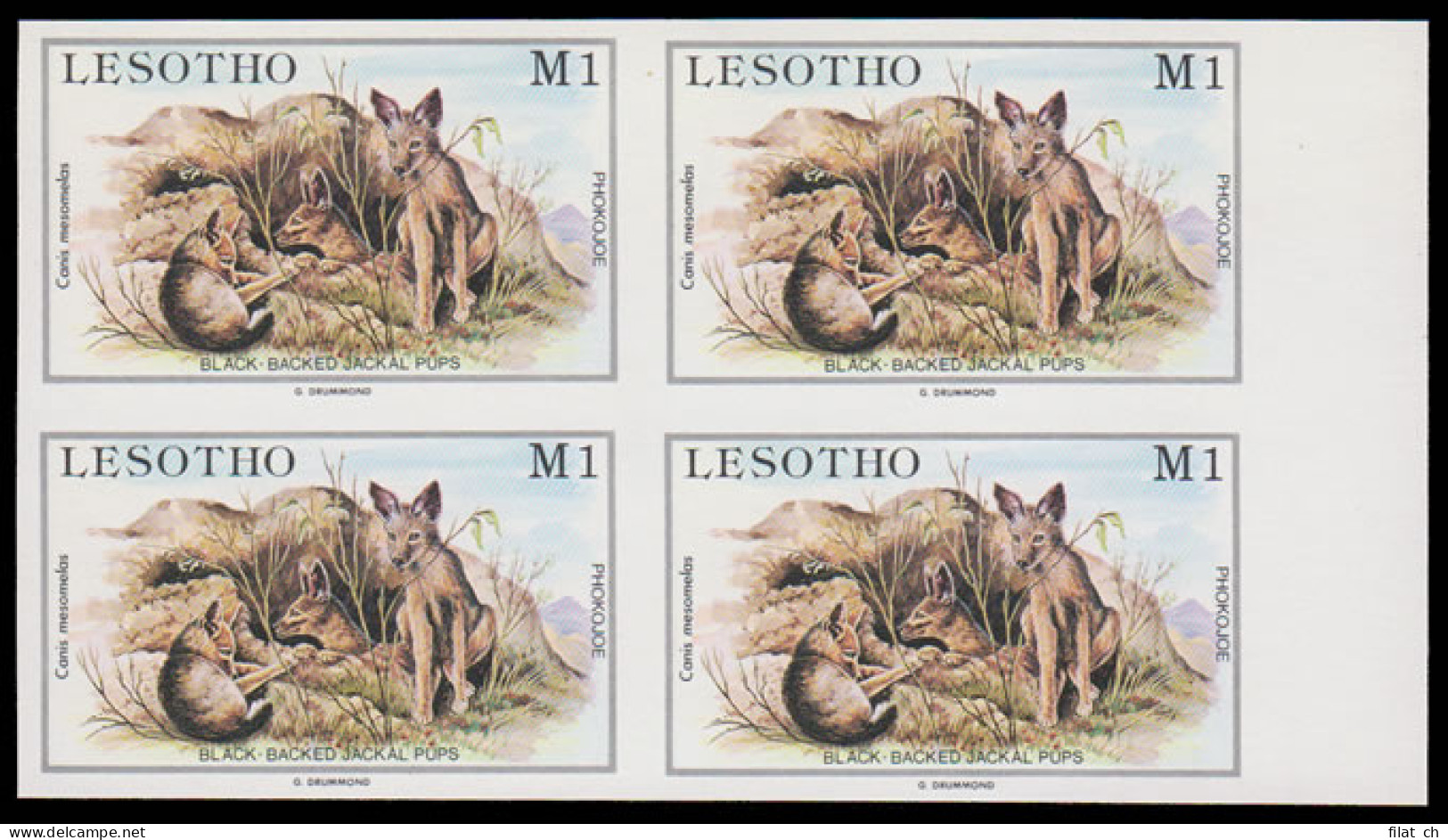 Lesotho 1984 Baby Animals 1m Jackal Proof Blocks - Other & Unclassified