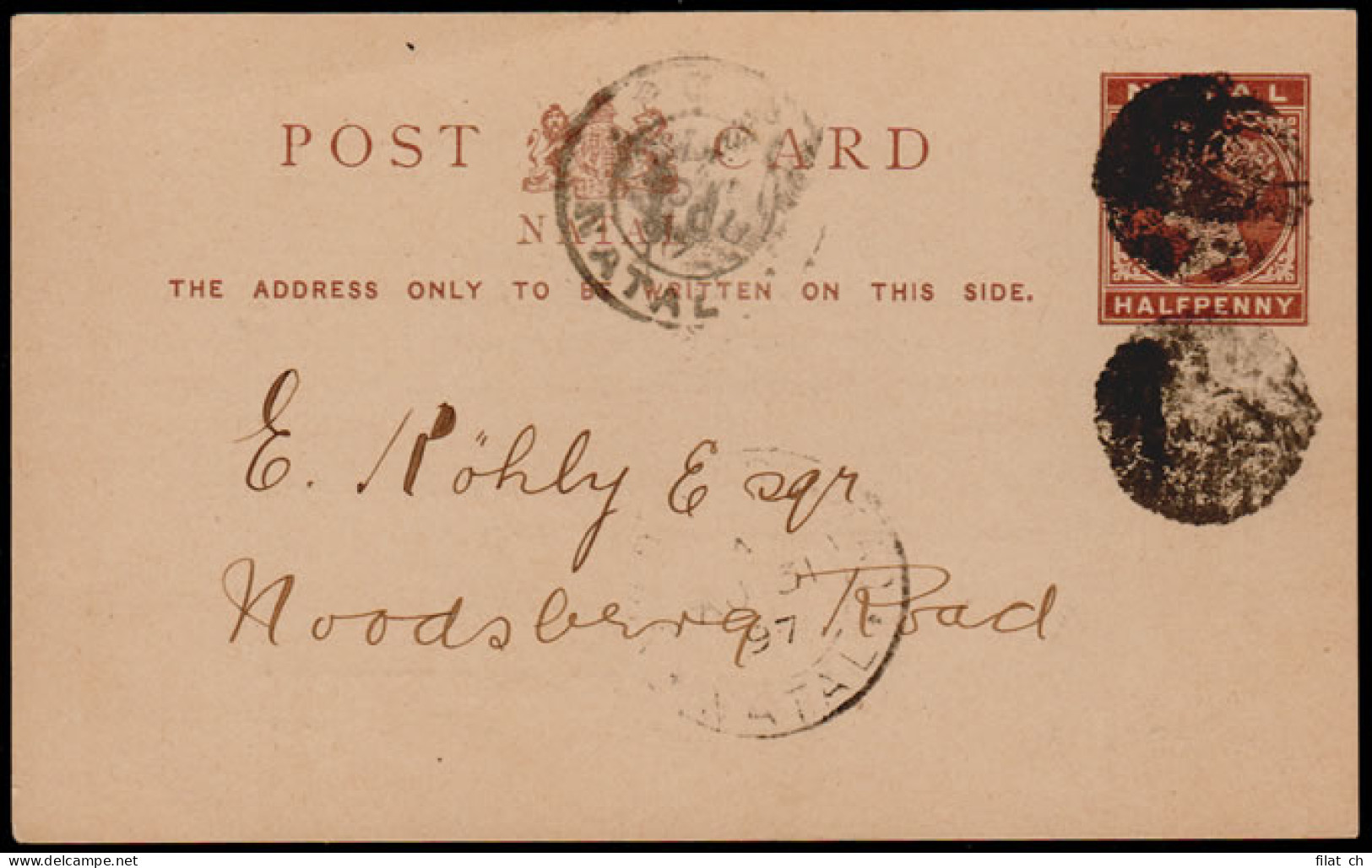 Natal 1897 Cork Cancel Double Strike On QV &frac12;d Card - Natal (1857-1909)