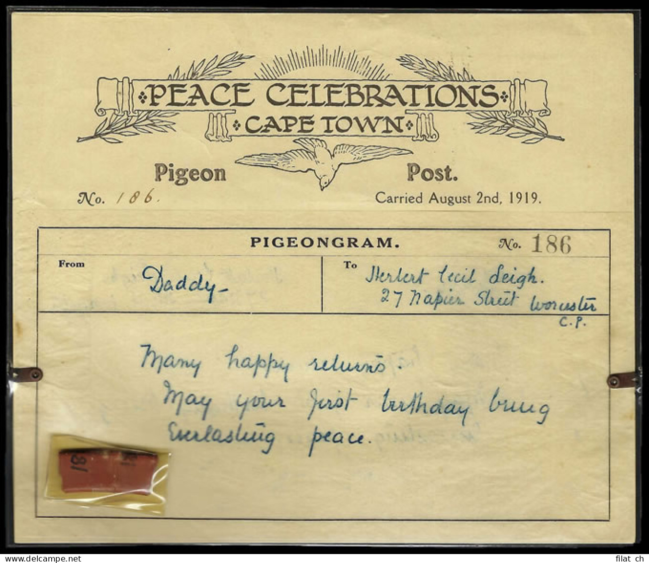 South Africa 1919 South Africa Peace Celebrations Pigeongram - Poste Aérienne