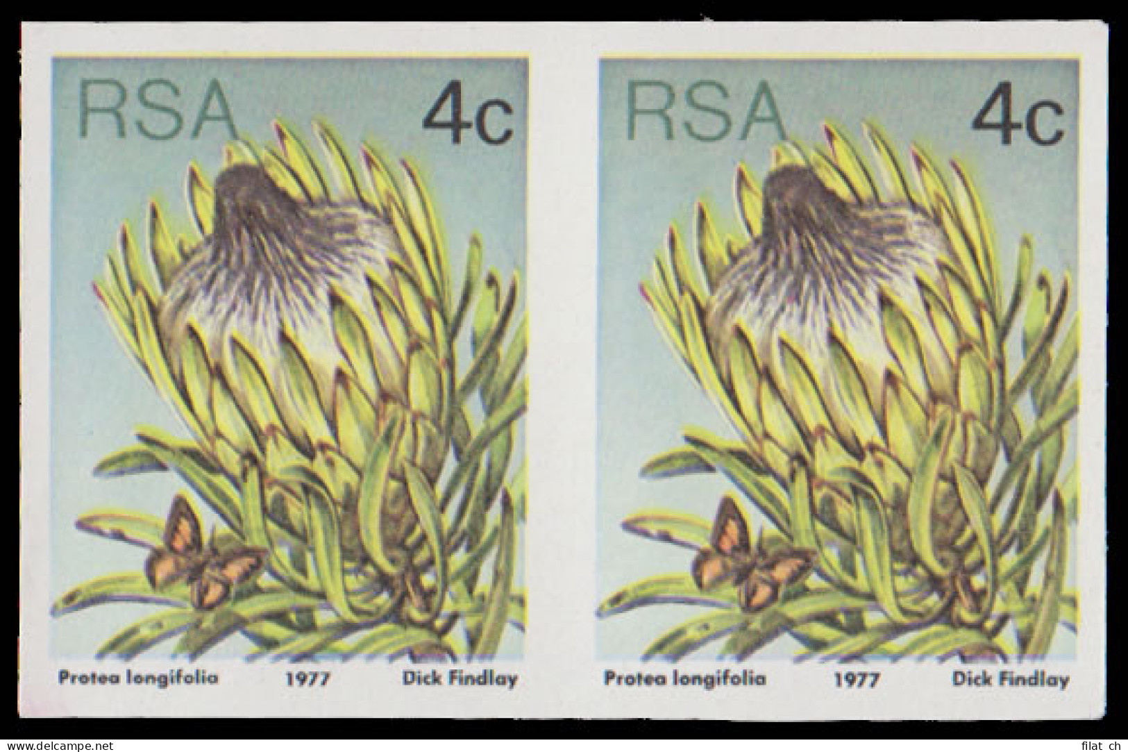 South Africa 1977 4c Protea Imperforate Pair - Ohne Zuordnung