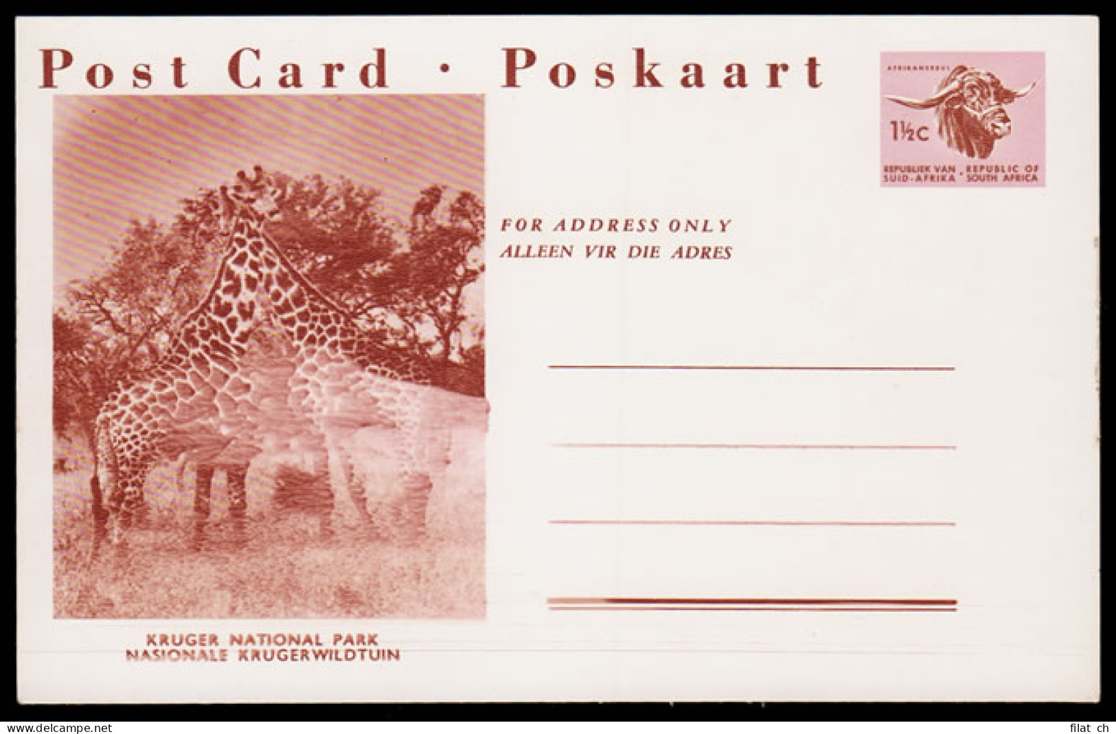 SOUTH AFRICA 1961 1&frac12;C GIRAFFE POSTCARD BLURRED CENTRE - Unclassified