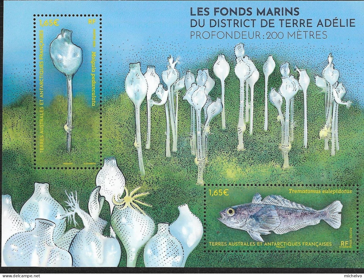 TAAF 2024 - Yv N° F1081 ** - Bloc - Fonds Marins - 200 Mètres (1081) - Unused Stamps