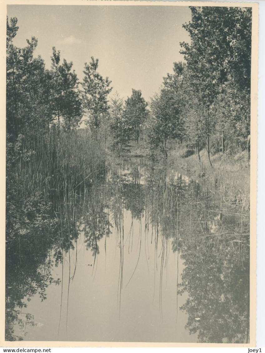 Photo Paysage, Rivière Et Sous Bois , Format 18/24 - Anonieme Personen