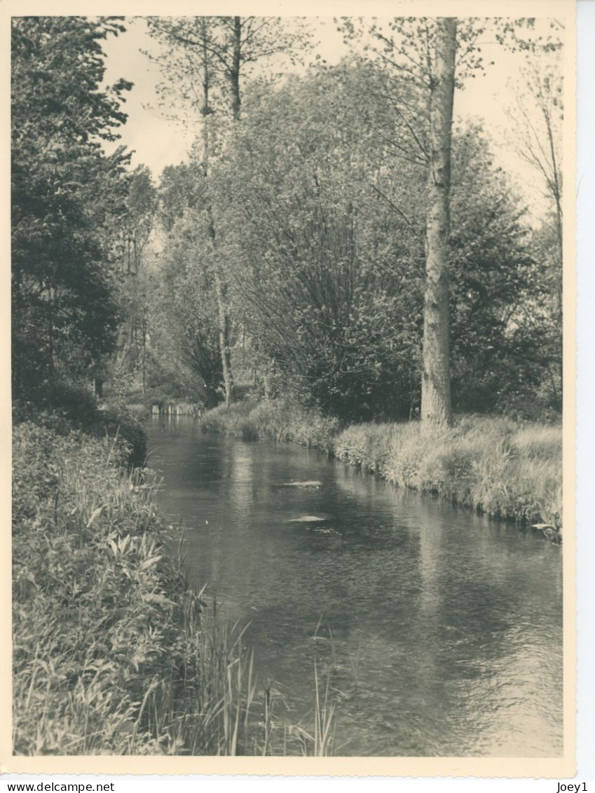 Photo Paysage, Rivière Et Sous Bois , Format 18/24 - Anonieme Personen