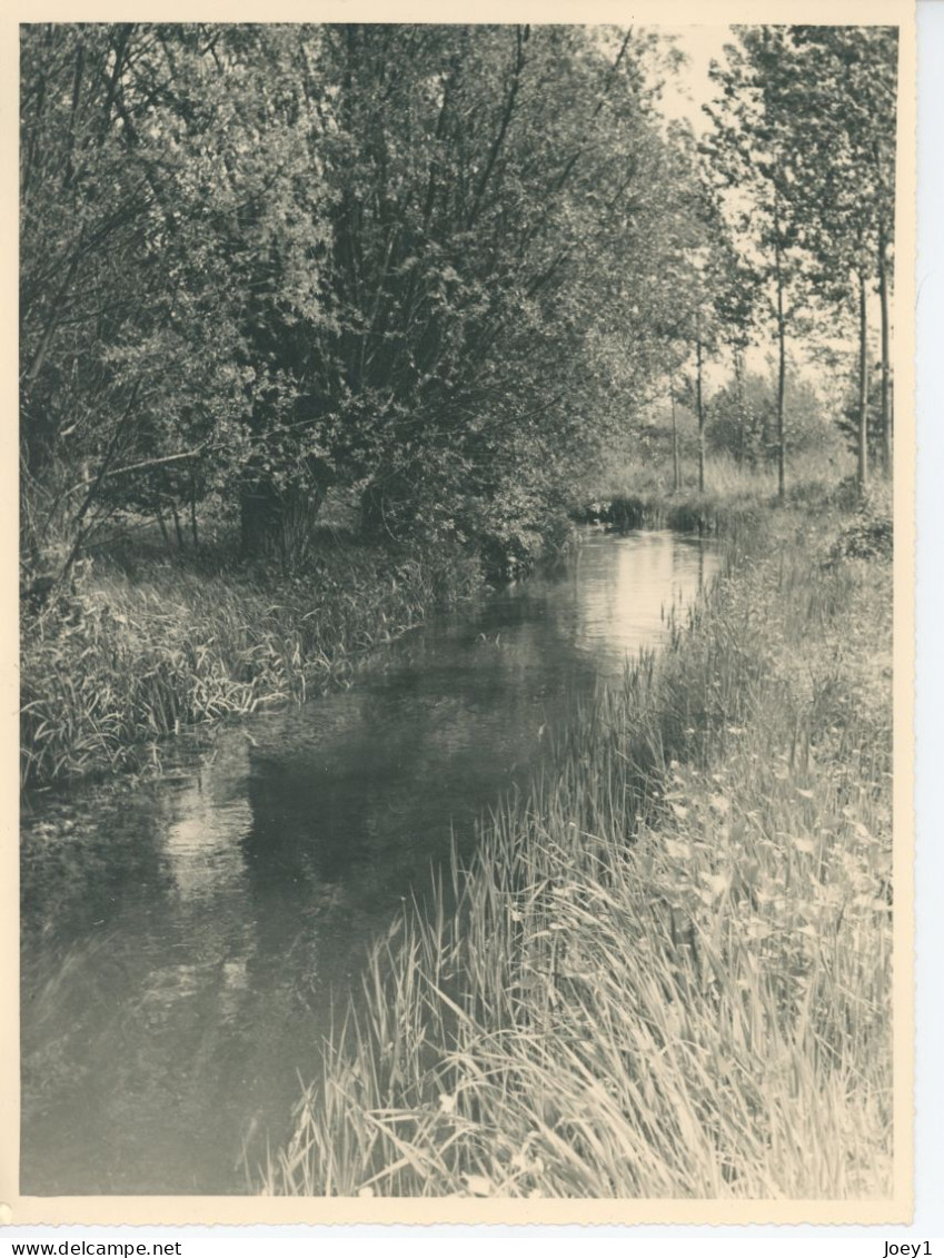 Photo Paysage, Rivière Et Sous Bois , Format 18/24 - Anonymous Persons