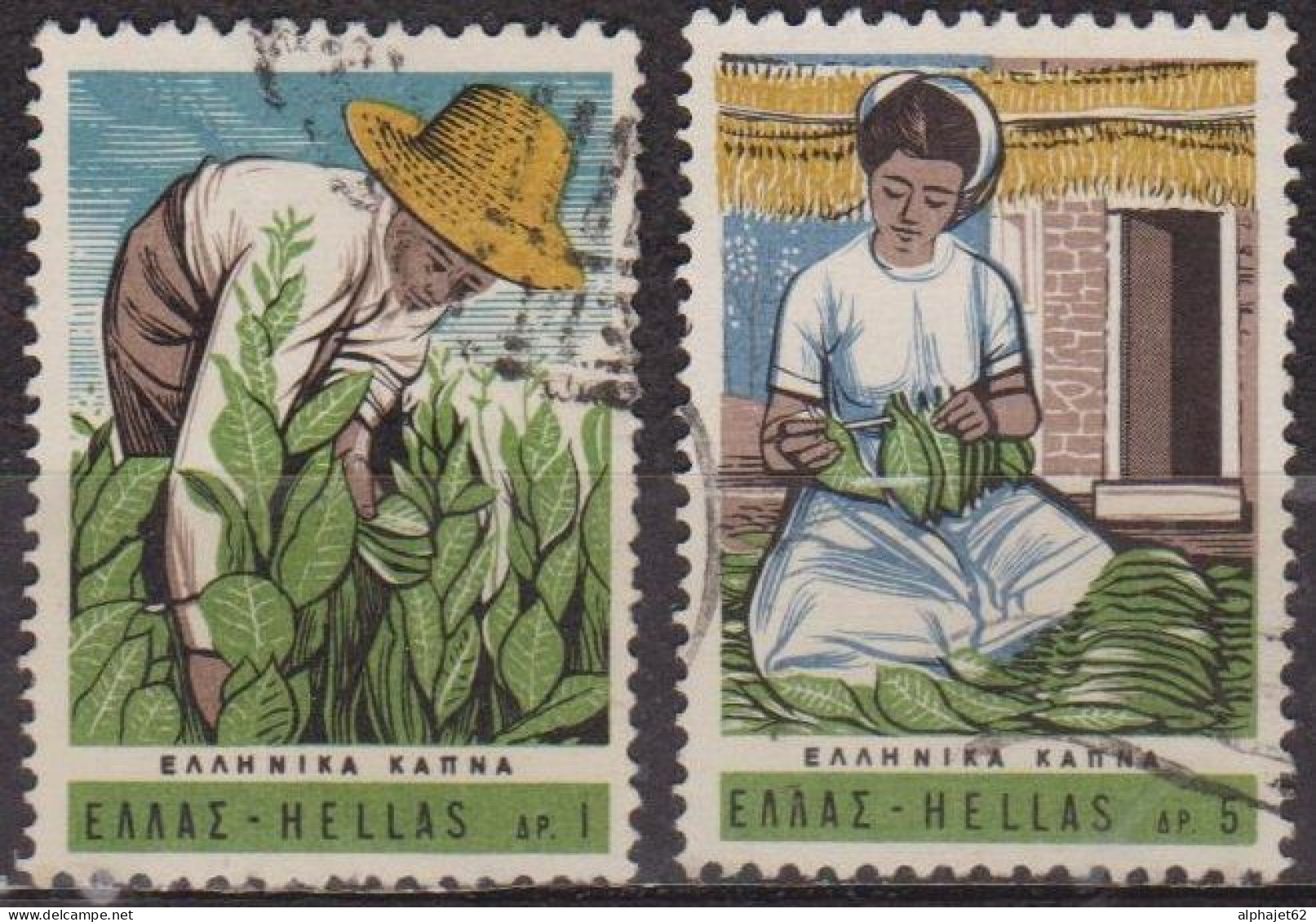 Culture Du Tabac - GRECE - Récolte, Stockage Des Feuilles - N° 895-896 - 1966 - Oblitérés