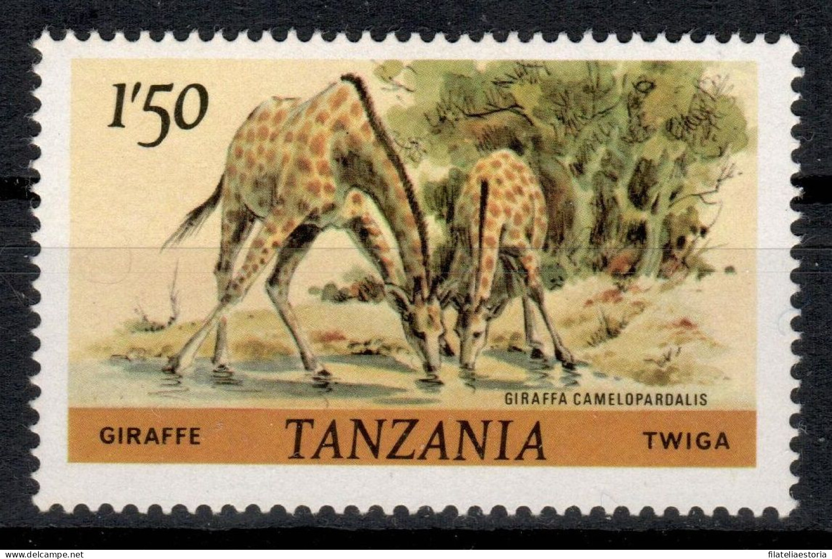 Tanzanie 1980 - MNH ** - Girafes - Michel Nr. 168A (tan311) - Tanzanie (1964-...)