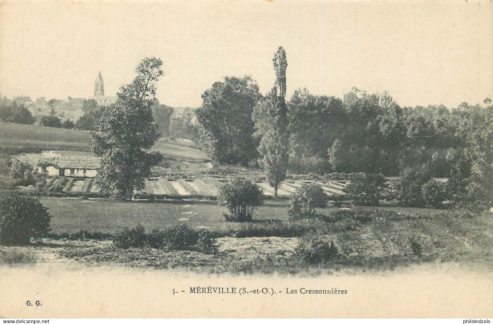 ESSONNE  MEREVILLE  Les Cressonnieres - Mereville