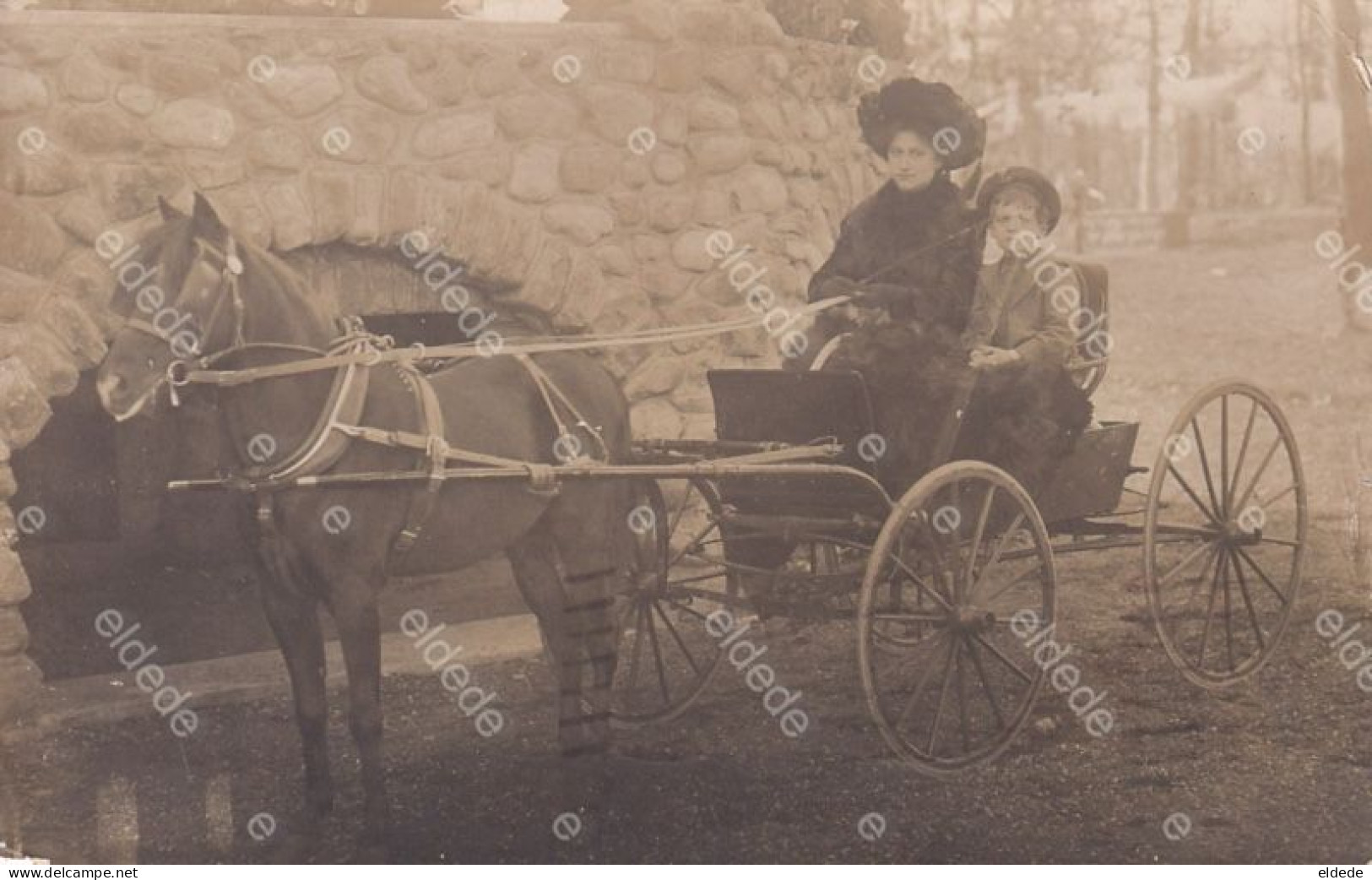 Real Photo Horse Cart In USA  Used From New York  To Hotel Beauséjour Long Island Caleche Cheval - Taxi & Carrozzelle