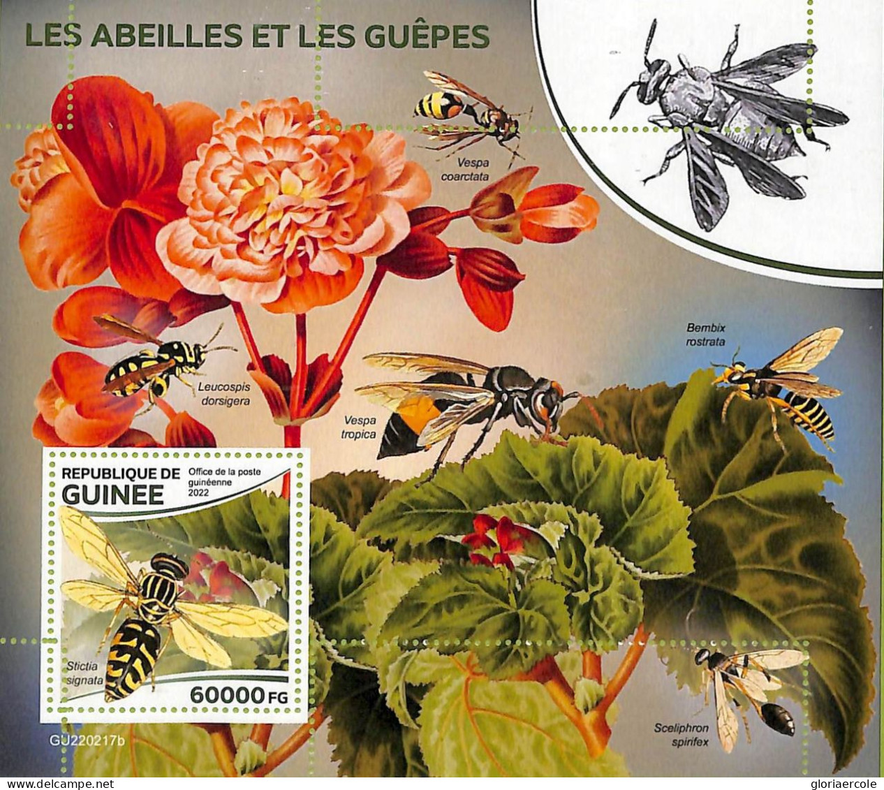 A9474 - REP.GUINEE - ERROR MISPERF Stamp Sheet - 2022 - Insects,BEES AND WASPS - Abeilles