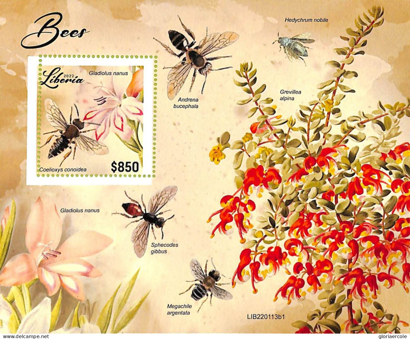 A9023 - LIBERIA - ERROR MISPERF Stamp Sheet - 2022  - INSECTS, - Honeybees