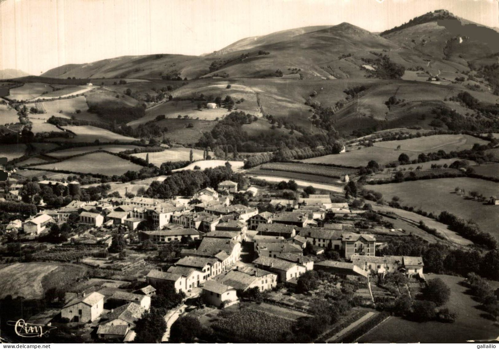 ESPELETTE VUE AERIENNE - Espelette