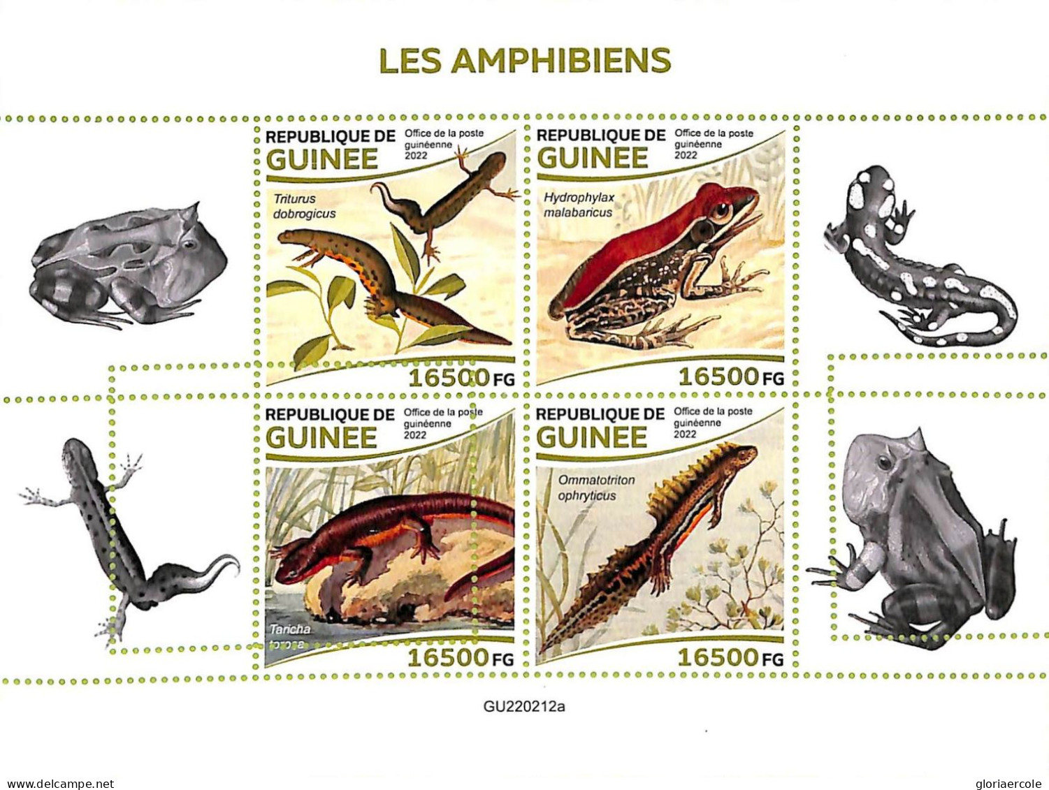 A9473 - REP.GUINEE - ERROR MISPERF Stamp Sheet - 2022 -  Amphibians FROG - Rane