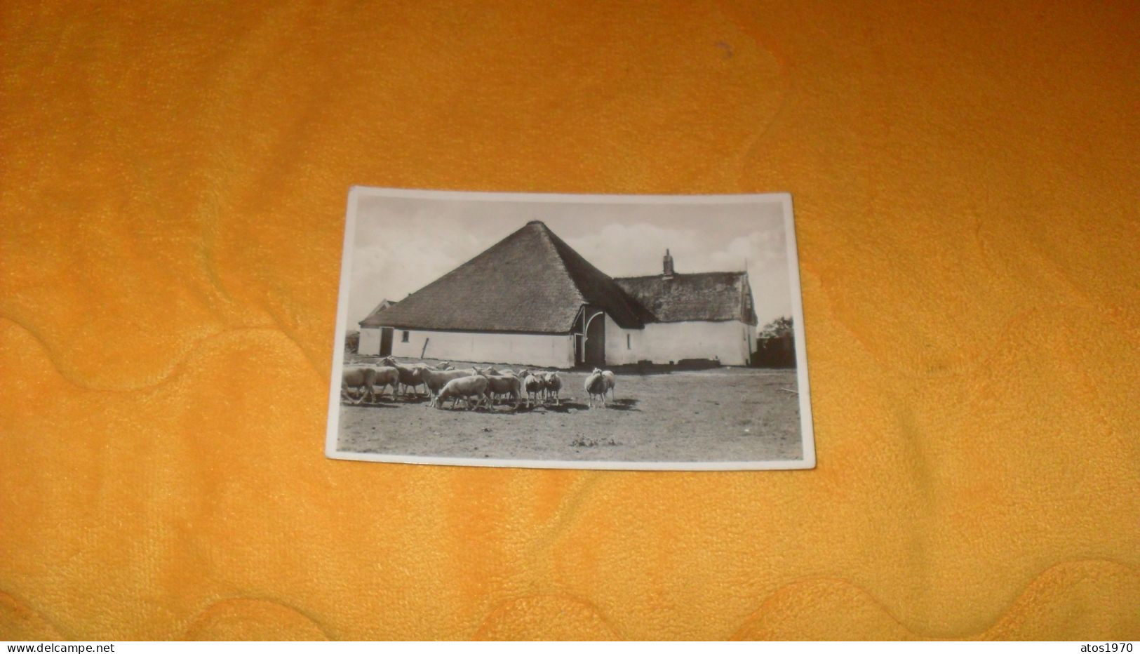 CARTE POSTALE ANCIENNE CIRCULEE DE 1938.../ TEXEL.- SCHAPENFOKKERIJ...CACHET + TIMBRE - Texel