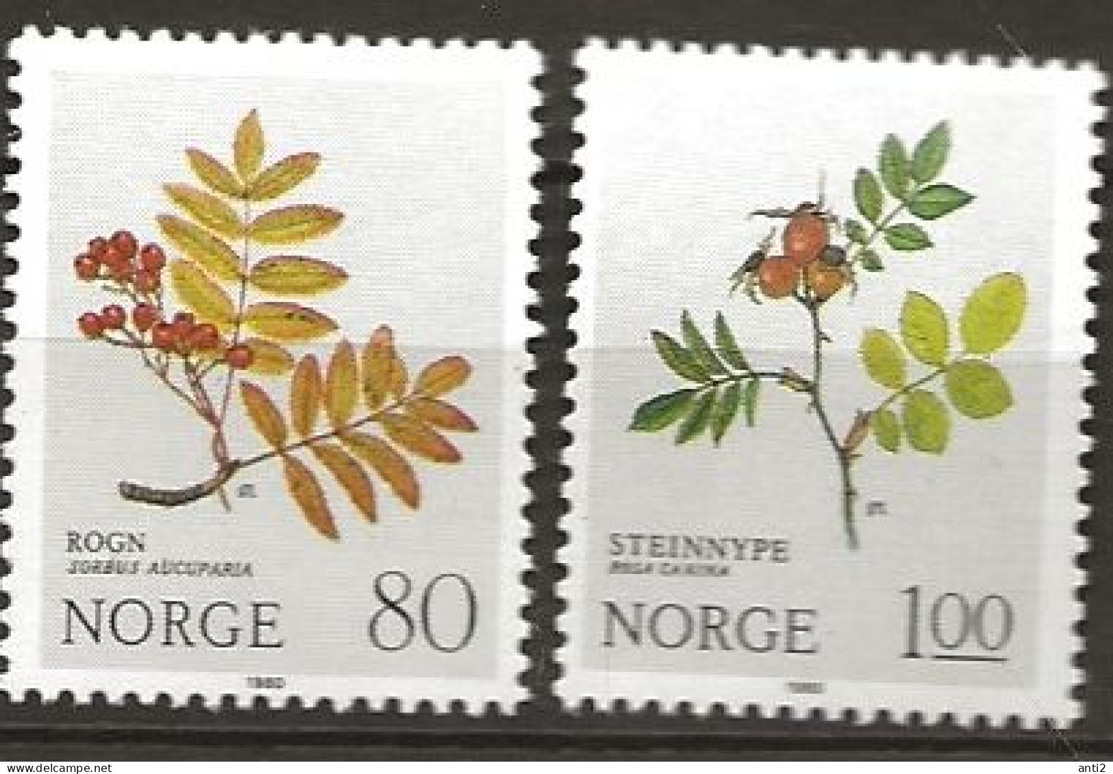 Norge Norway 1980 Christmas: Plants, Roses,  Rosaceous Plants., Flowers,  Mi 825-826, MNH(**) - Unused Stamps