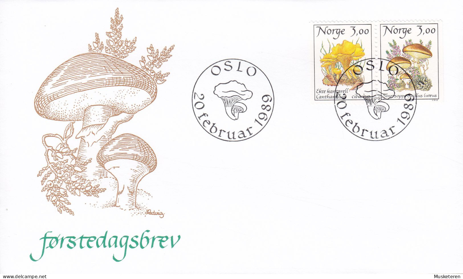 Norway 1989 FDC Cover Ersttags Brief Pilze Mushroom Champignon Complete Set !! - FDC