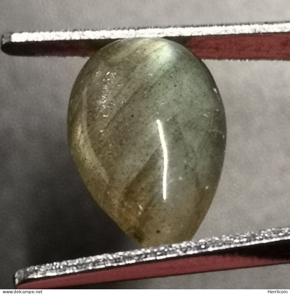 Labradorite Naturelle Du Canada - Cabochon 3.26 Carats - 11.9 X 7.9 X 4.5 Mm - Otros & Sin Clasificación