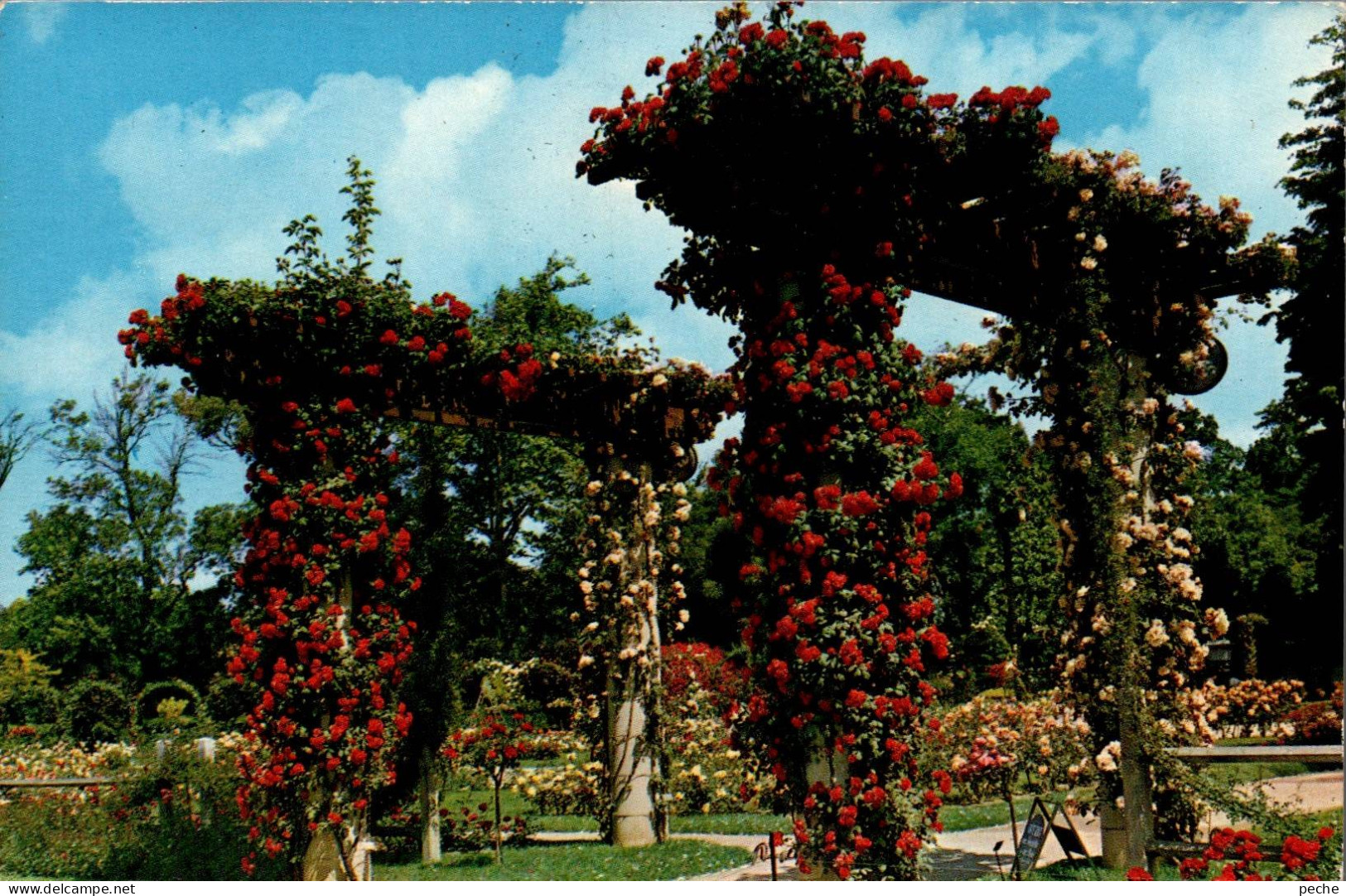 N°122143 -cpsm Marseille -le Parc Borély- - Parks, Gärten