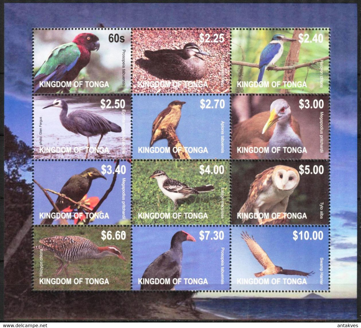 Tonga 2012 Birds Sheet Of 12 MNH** Mi. 1742/53 70,00 Eur. - Tonga (1970-...)