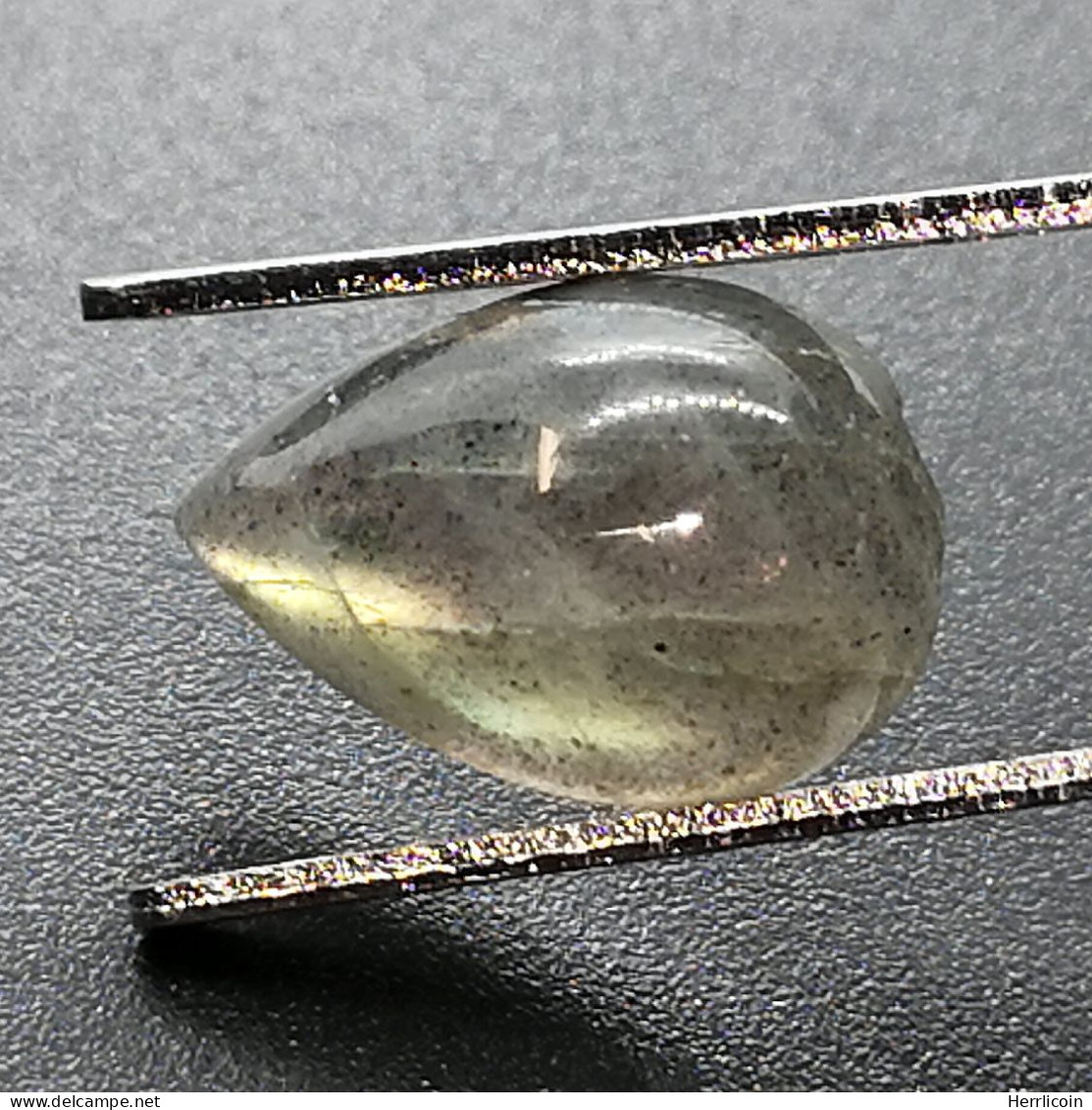 Labradorite Naturelle Du Canada - Cabochon 3.39 Carats - 12 X 7.9 X 4.6 Mm - Andere & Zonder Classificatie