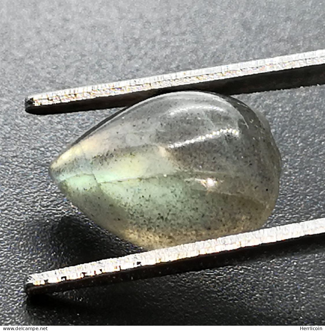 Labradorite Naturelle Du Canada - Cabochon 3.39 Carats - 12 X 7.9 X 4.6 Mm - Altri & Non Classificati