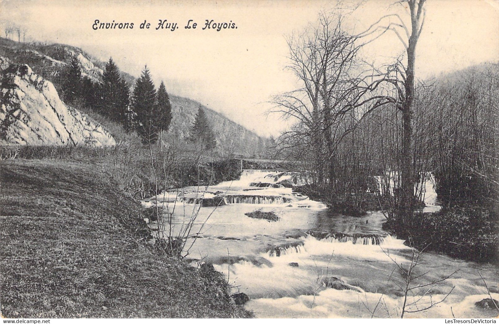 BELGIQUE - Environs De Huy - Le Hoyois - Carte Postale Ancienne - Huy