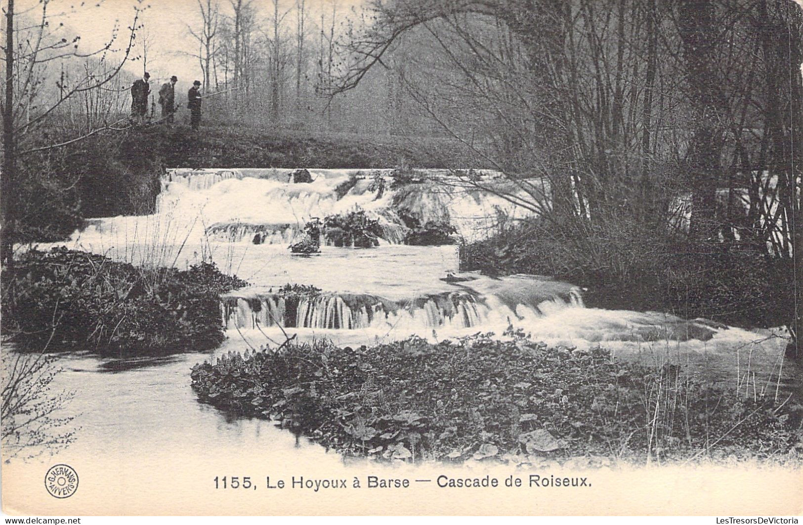 BELGIQUE - Le Hoyoux A Barse - Cascade De Roiseux - Carte Postale Ancienne - Autres & Non Classés