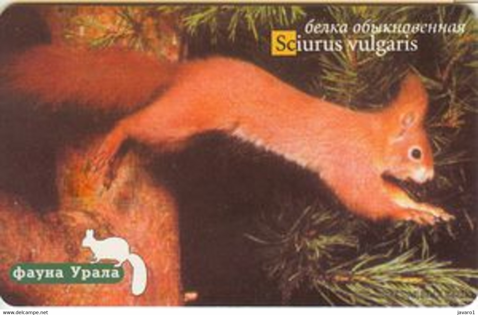 EKATERINSBURG : EKB044E 300 Sciurus-vulgaris USED Exp: 31.10.2001 - Russia