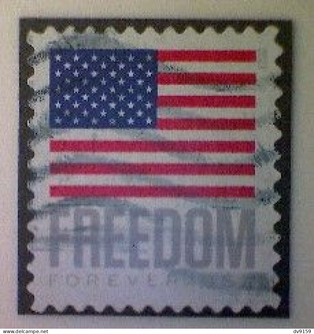 United States, Scott #5787, Used(o), 2023, Freedom Flag, (63¢), Gray, Blue, And Red - Gebruikt