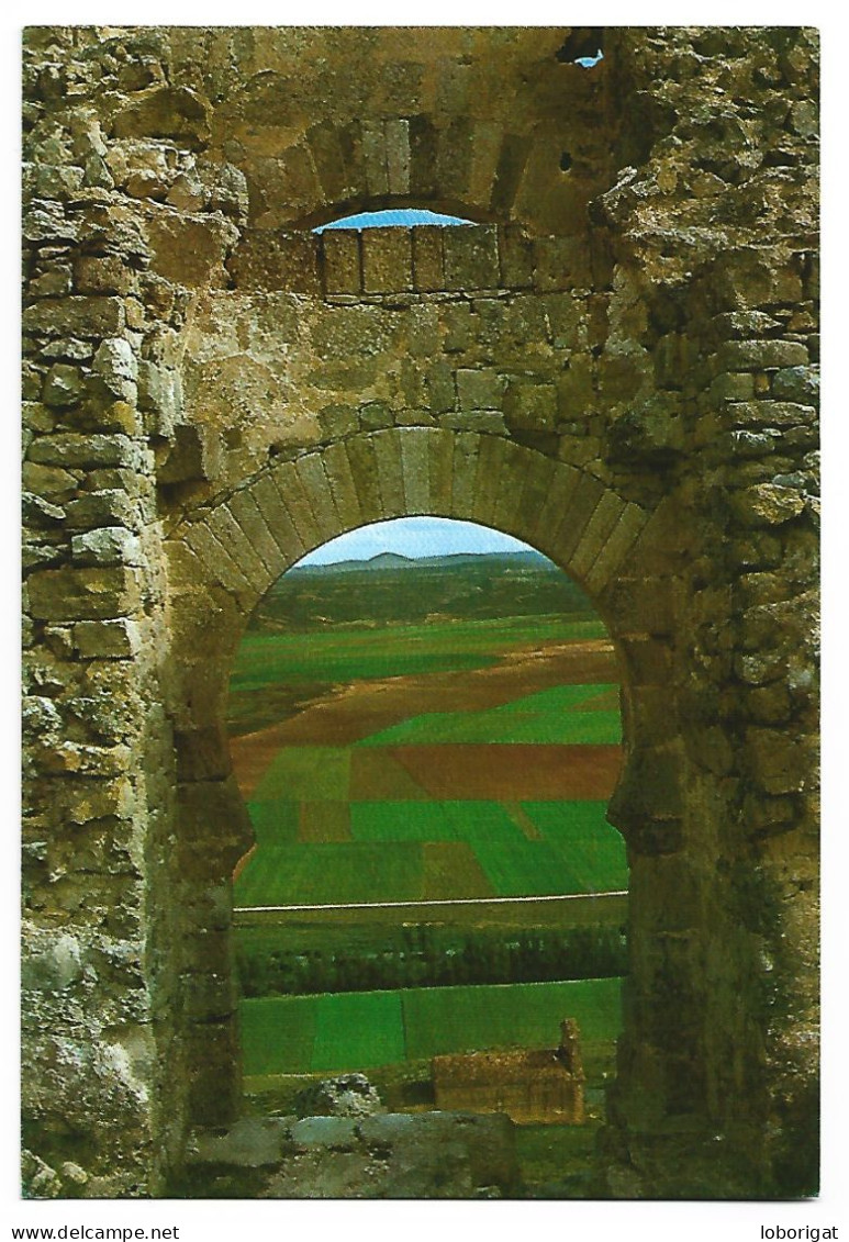 CASTILLO DE GORMAZ, ARCO CALIFAL.- QUINTANAS DE GORMAZ / SORIA.- ( ESPAÑA ) - Soria