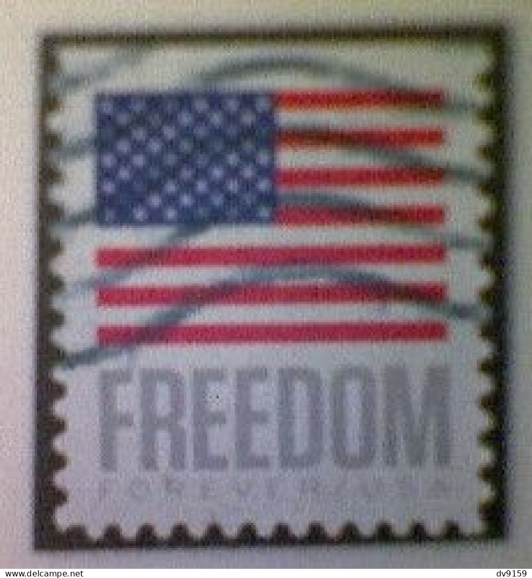 United States, Scott #5790, Used(o) Booklet, 2023, Flag Definitive: Freedom Flag, (63¢) Forever - Gebruikt