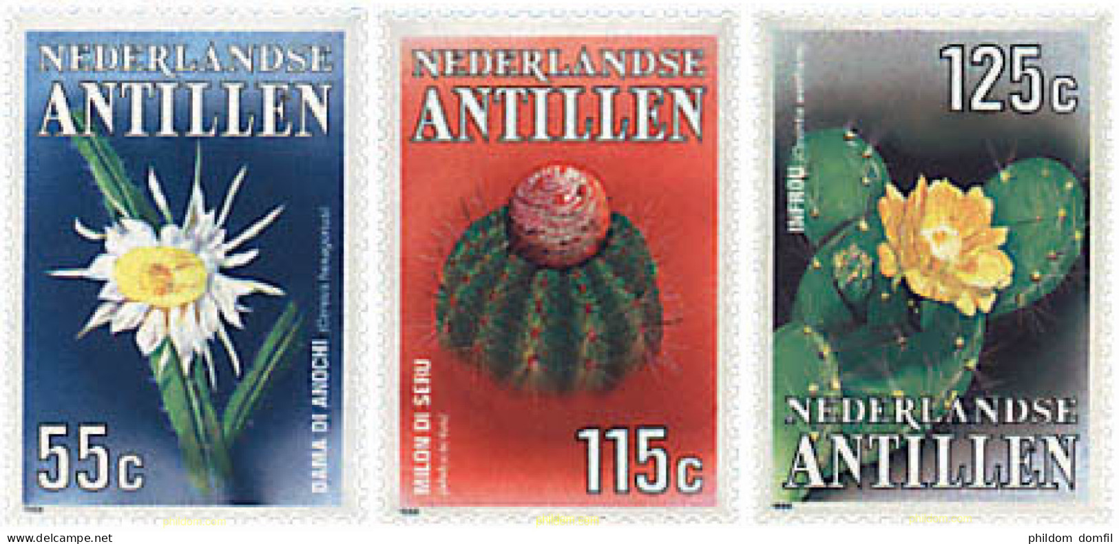 79169 MNH ANTILLAS HOLANDESAS 1988 FLORES DE CACTUS - Antilles