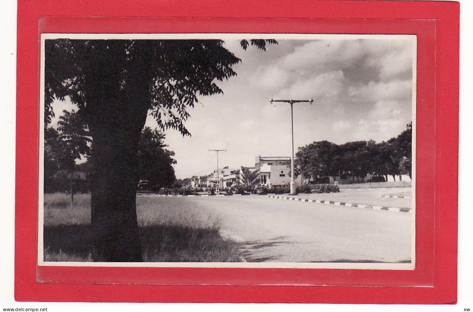 AFRIQUE - AFRIQUE AUSTRALE - ZIMBABWE - EX- RHODESIE - PHOTO DE KWEKWE (Que - Que) - Une Avenue - C10845/46 - Zimbabwe