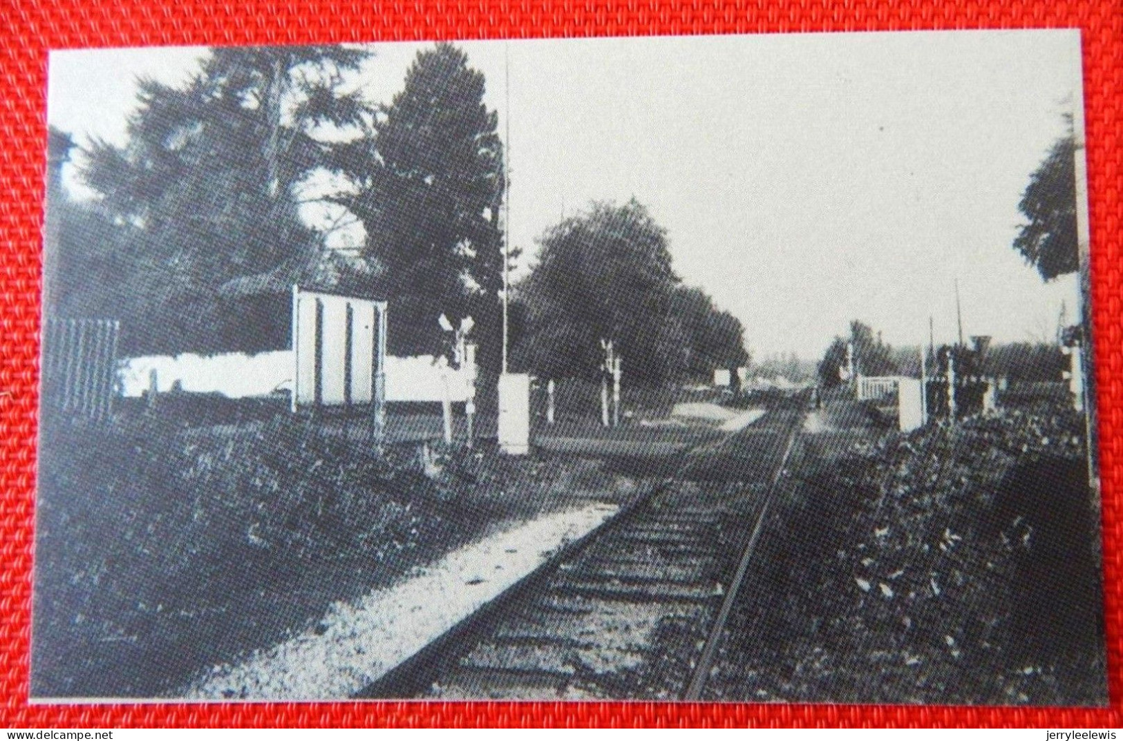 BASECLES - 6 CARTES : Rue Basse, Gd Place, Rue des Ecoles, Place de la Victoire, Station, La Voie,  (Réédition A.S.P.B.)