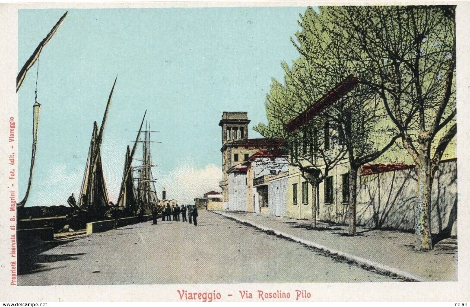 VIAREGGIO - VIA - ROSALINO PILO - F.P. - Viareggio