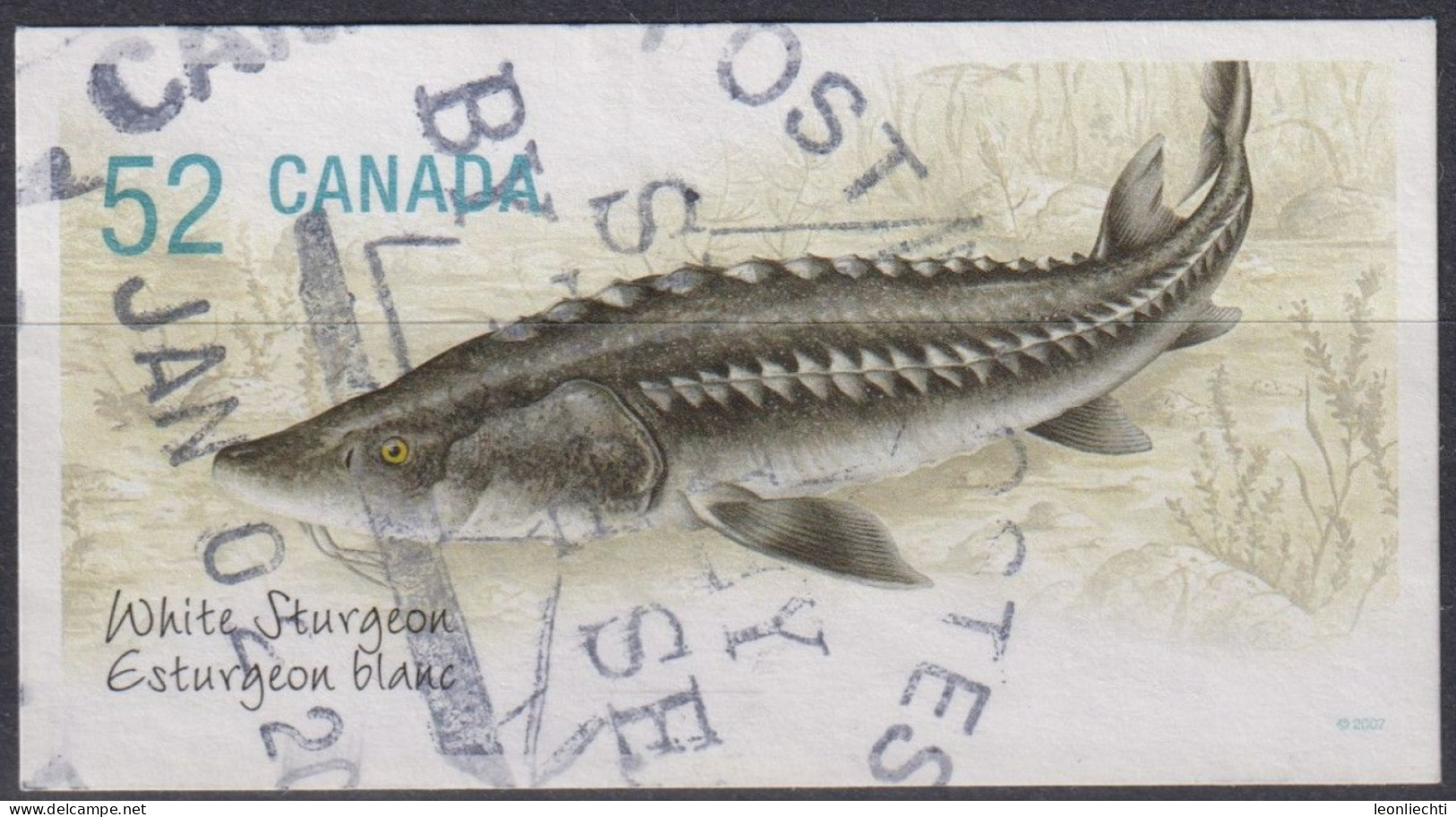 2007 Kanada ° Mi:CA 2430, Sn:CA 2232, Yt:CA 2309, White Sturgeon (Acipenser Transmontanus) - Used Stamps