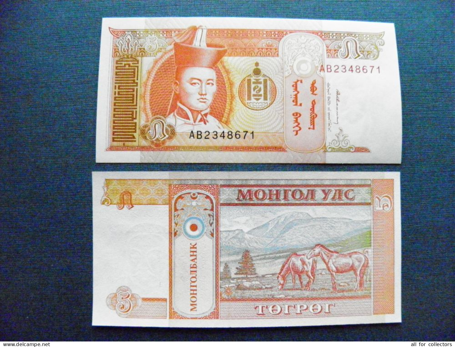 Banknote Mongolia UNC 5 Tugrik 1993 P-53 Soemba Arms Sukhe-battar Horses Animals Mountains - Mongolei