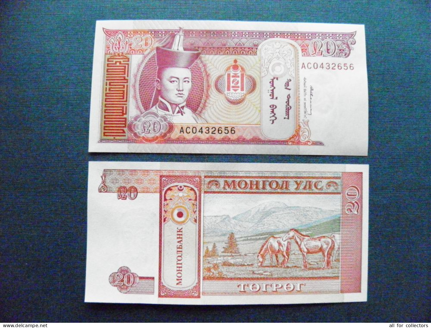 Banknote Mongolia UNC 20 Tugrik 1993 P-55 Soemba Arms Sukhe-battar Horses Animals Mountains - Mongolia