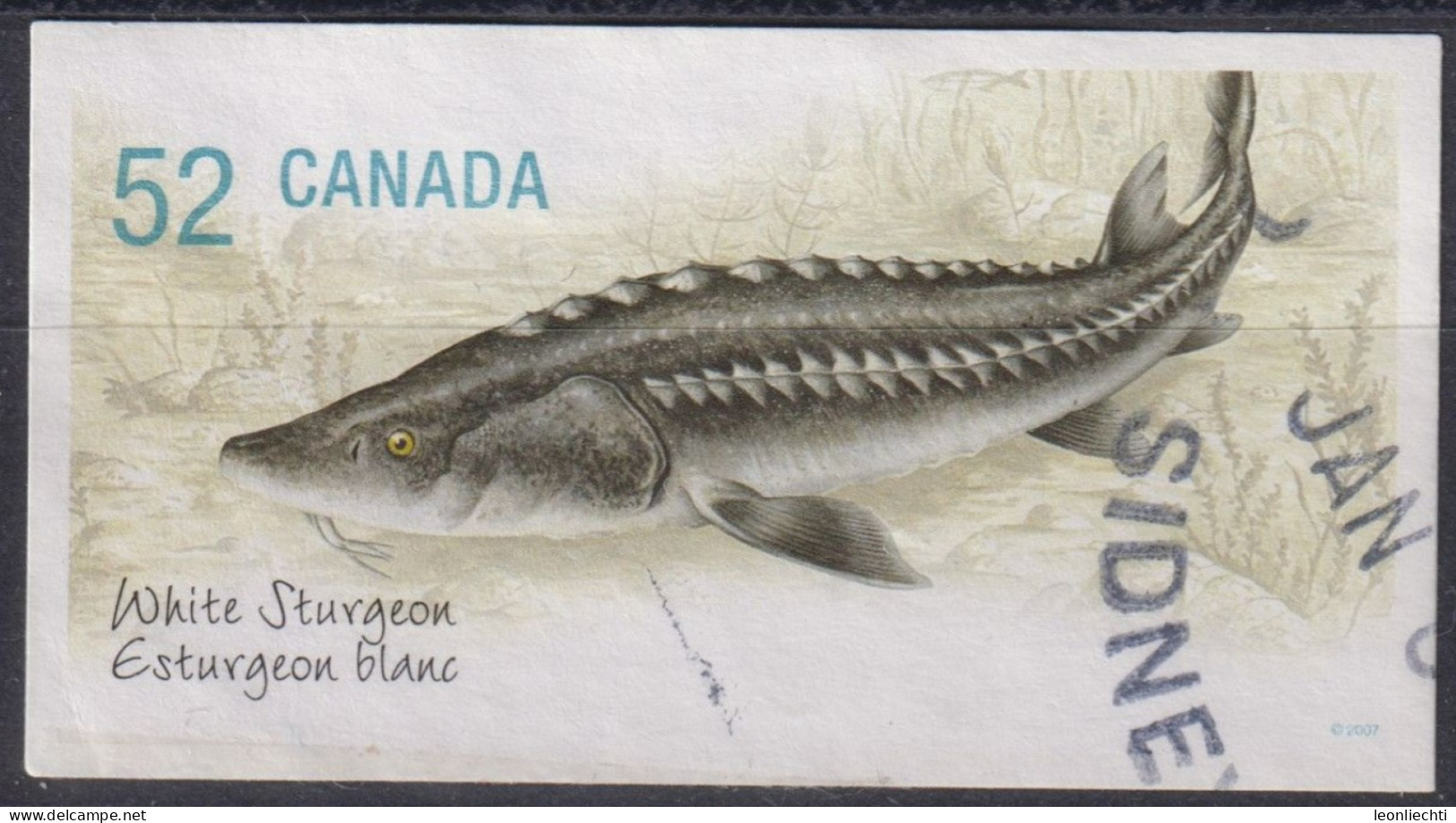 2007 Kanada ° Mi:CA 2430, Sn:CA 2232, Yt:CA 2309, White Sturgeon (Acipenser Transmontanus) - Oblitérés