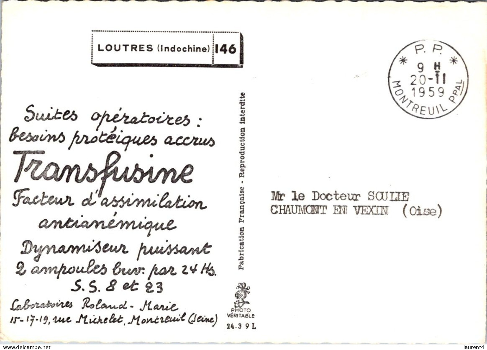 13-2-2024 (4 X 8) Transfusine - Black & White (posted In 1959) 146 - Loutres / Otters - Zèbres