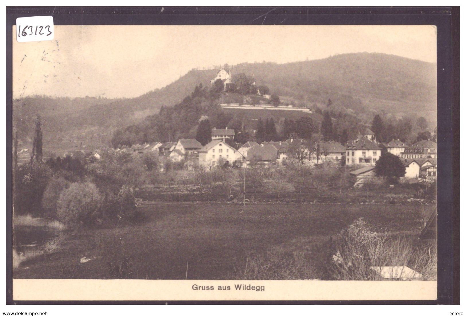 GRUSS AUS WILDEGG - TB - Wildegg