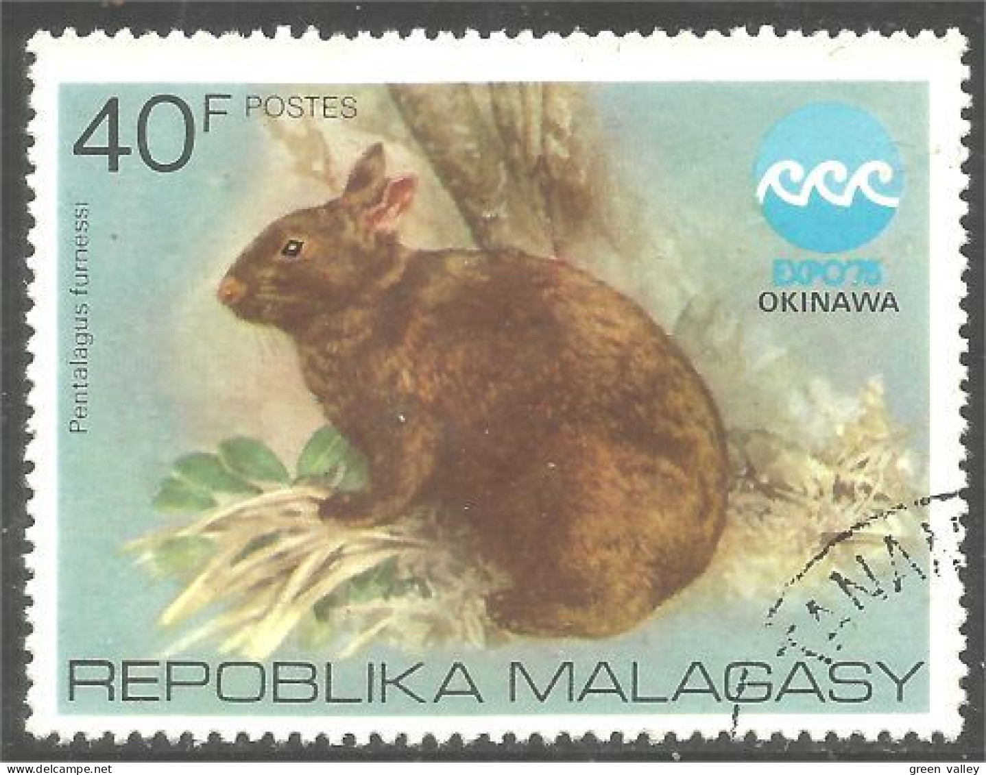 AF-194 Madagascar Lapin Lièvre Rabbit Hare Hase Kaninchen Coelho Conejo Coniglio Konijn - Conejos